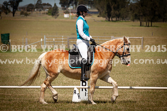 SPP Dressage 2025-230