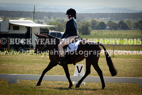SPP Dressage 2025-251