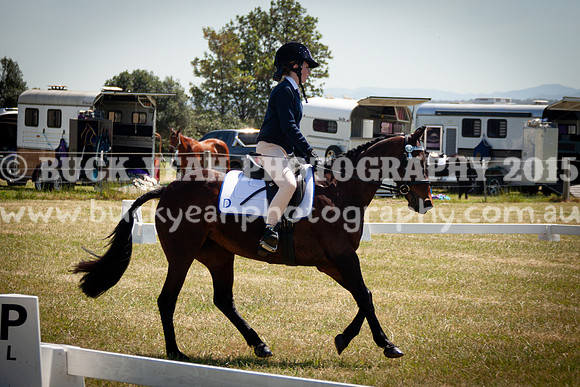 SPP Dressage 2025-252