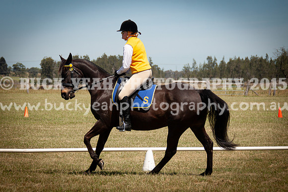 SPP Dressage 2025-250