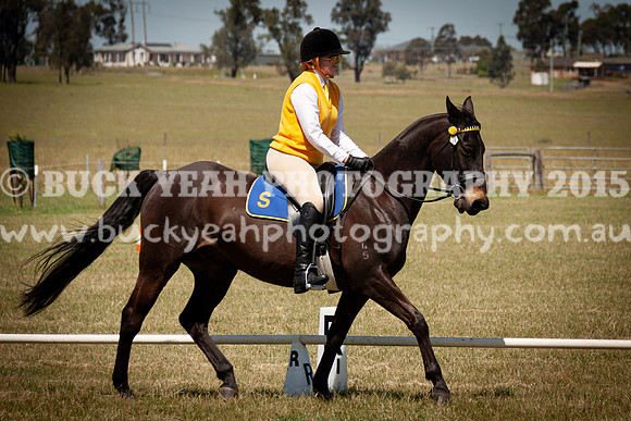 SPP Dressage 2025-248