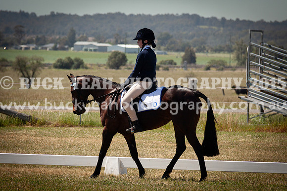 SPP Dressage 2025-253
