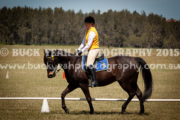 SPP Dressage 2025-254