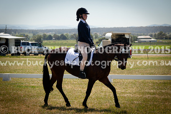 SPP Dressage 2025-257