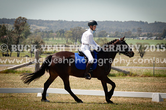 SPP Dressage 2025-266