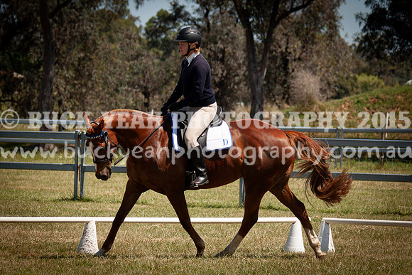 SPP Dressage 2025-269