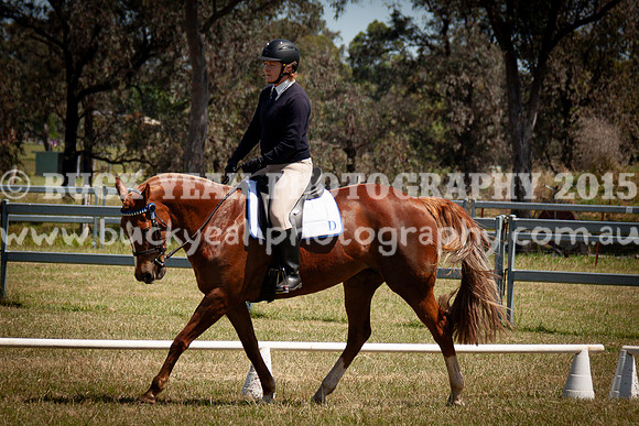 SPP Dressage 2025-270