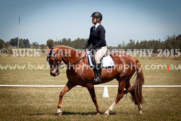 SPP Dressage 2025-272