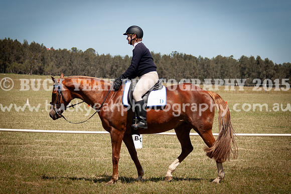 SPP Dressage 2025-274