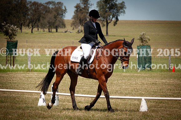 SPP Dressage 2025-278