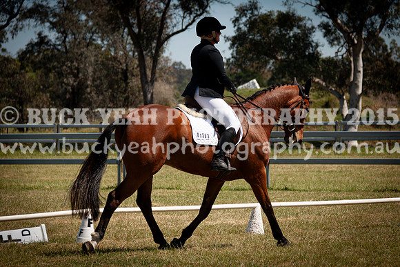 SPP Dressage 2025-281