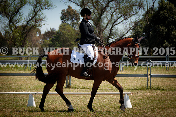 SPP Dressage 2025-282