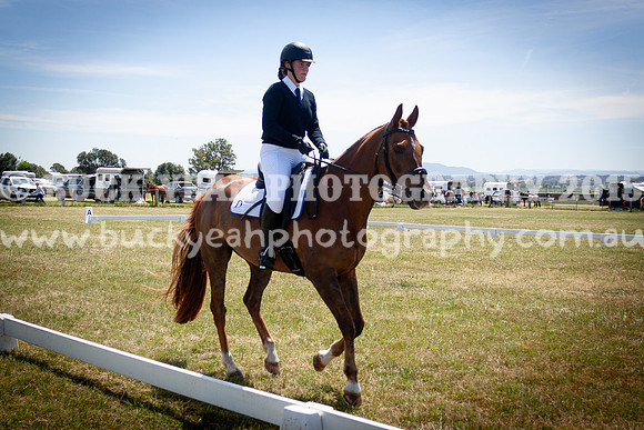 SPP Dressage 2025-287