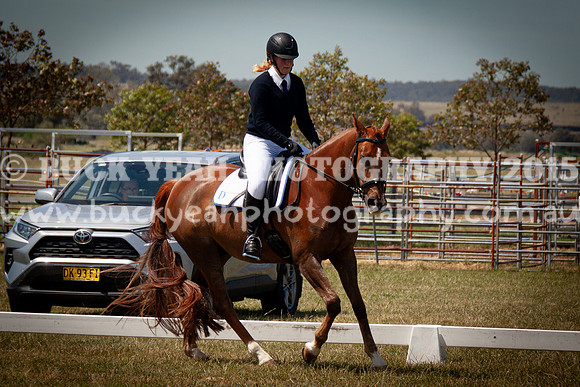 SPP Dressage 2025-288