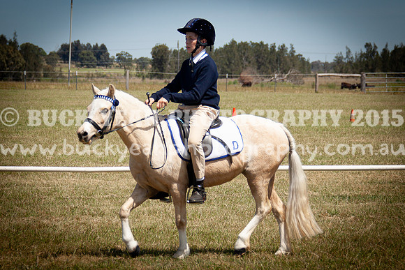 SPP Dressage 2025-295