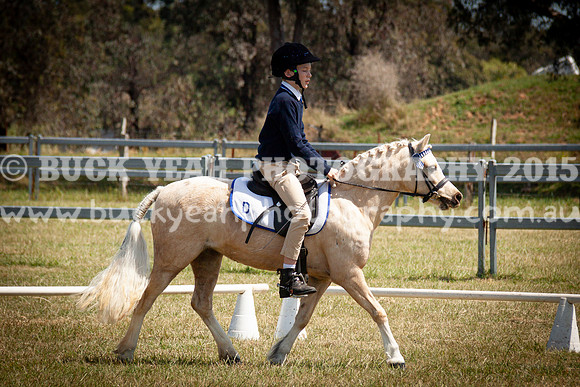 SPP Dressage 2025-291