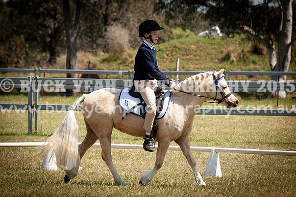 SPP Dressage 2025-292