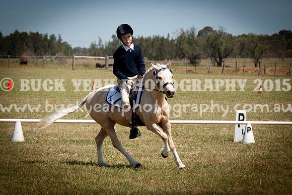 SPP Dressage 2025-297