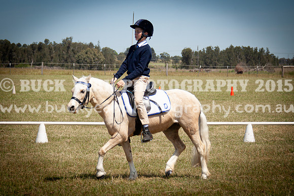 SPP Dressage 2025-296
