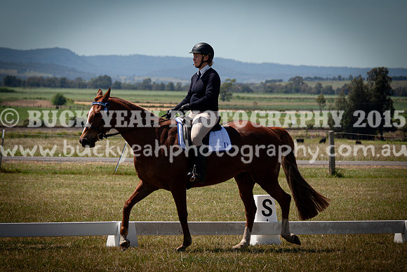 SPP Dressage 2025-298
