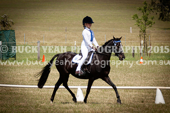 SPP Dressage 2025-301