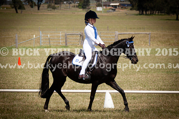 SPP Dressage 2025-302