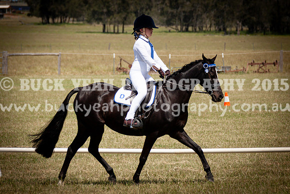 SPP Dressage 2025-303