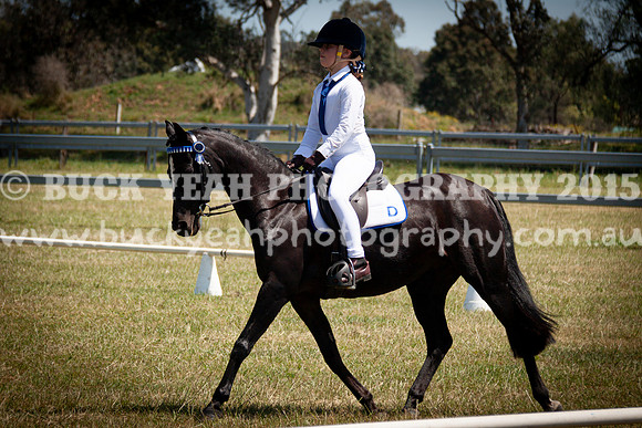 SPP Dressage 2025-304