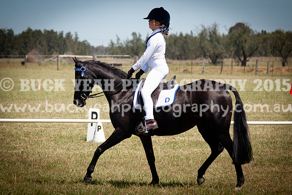 SPP Dressage 2025-305