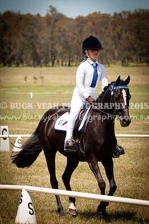 SPP Dressage 2025-307