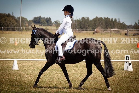 SPP Dressage 2025-306