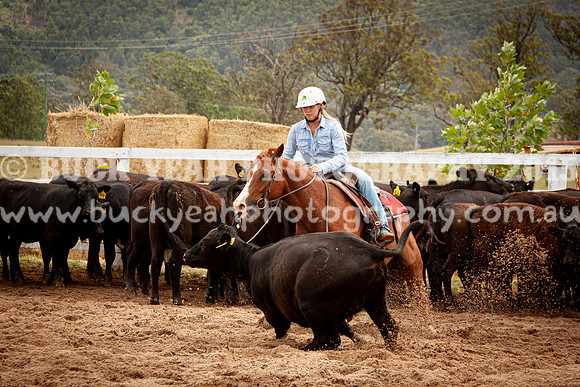 Vacy Rnd 1 Herd 1-91