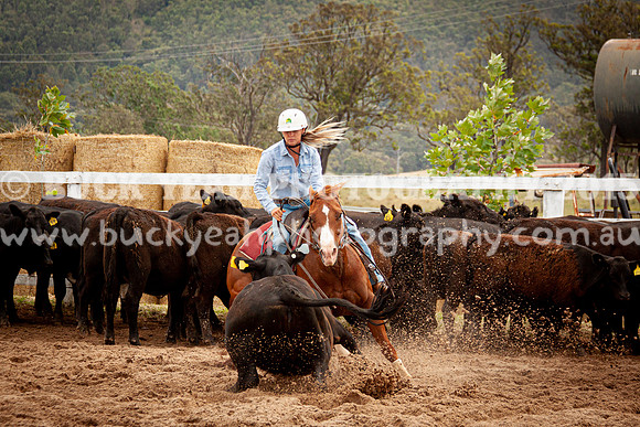 Vacy Rnd 1 Herd 1-90