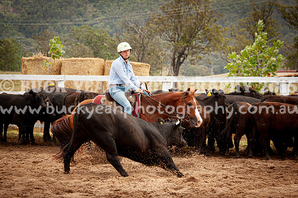 Vacy Rnd 1 Herd 1-89