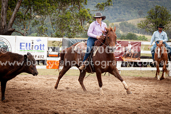Vacy Rnd 1 Herd 1-83