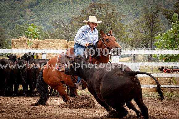 Vacy Rnd 1 Herd 1-66