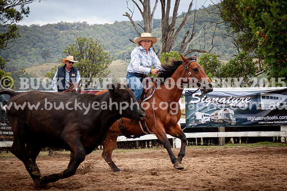 Vacy Rnd 1 Herd 1-65