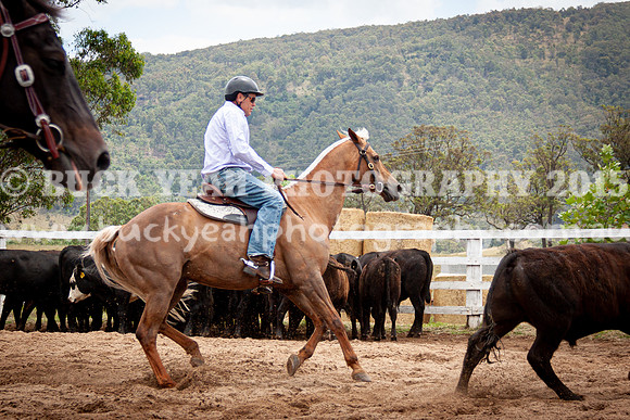 Vacy Rnd 1 Herd 1-55