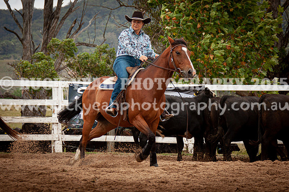 Vacy Rnd 1 Herd 1-37