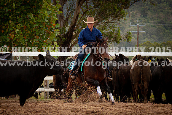 Vacy Rnd 1 Herd 1-30