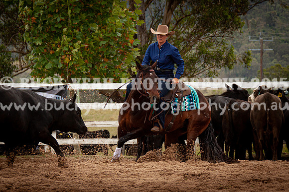Vacy Rnd 1 Herd 1-29