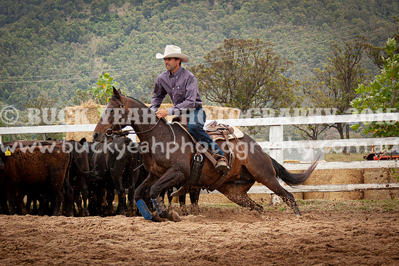Vacy Rnd 1 Herd 1-23