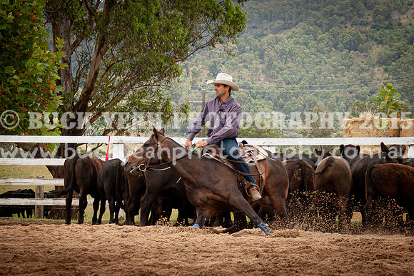 Vacy Rnd 1 Herd 1-24