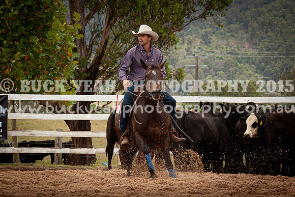 Vacy Rnd 1 Herd 1-20