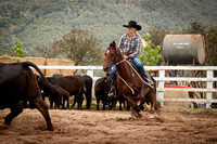 Vacy Rnd 1 Herd 1-17