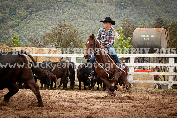 Vacy Rnd 1 Herd 1-17