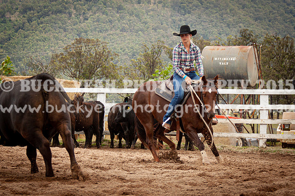 Vacy Rnd 1 Herd 1-16