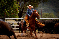 Vacy Rnd 1 Herd 1-4