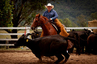 Vacy Rnd 1 Herd 1-2
