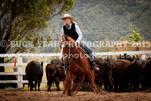 Vacy Rnd 1 Herd 2-159